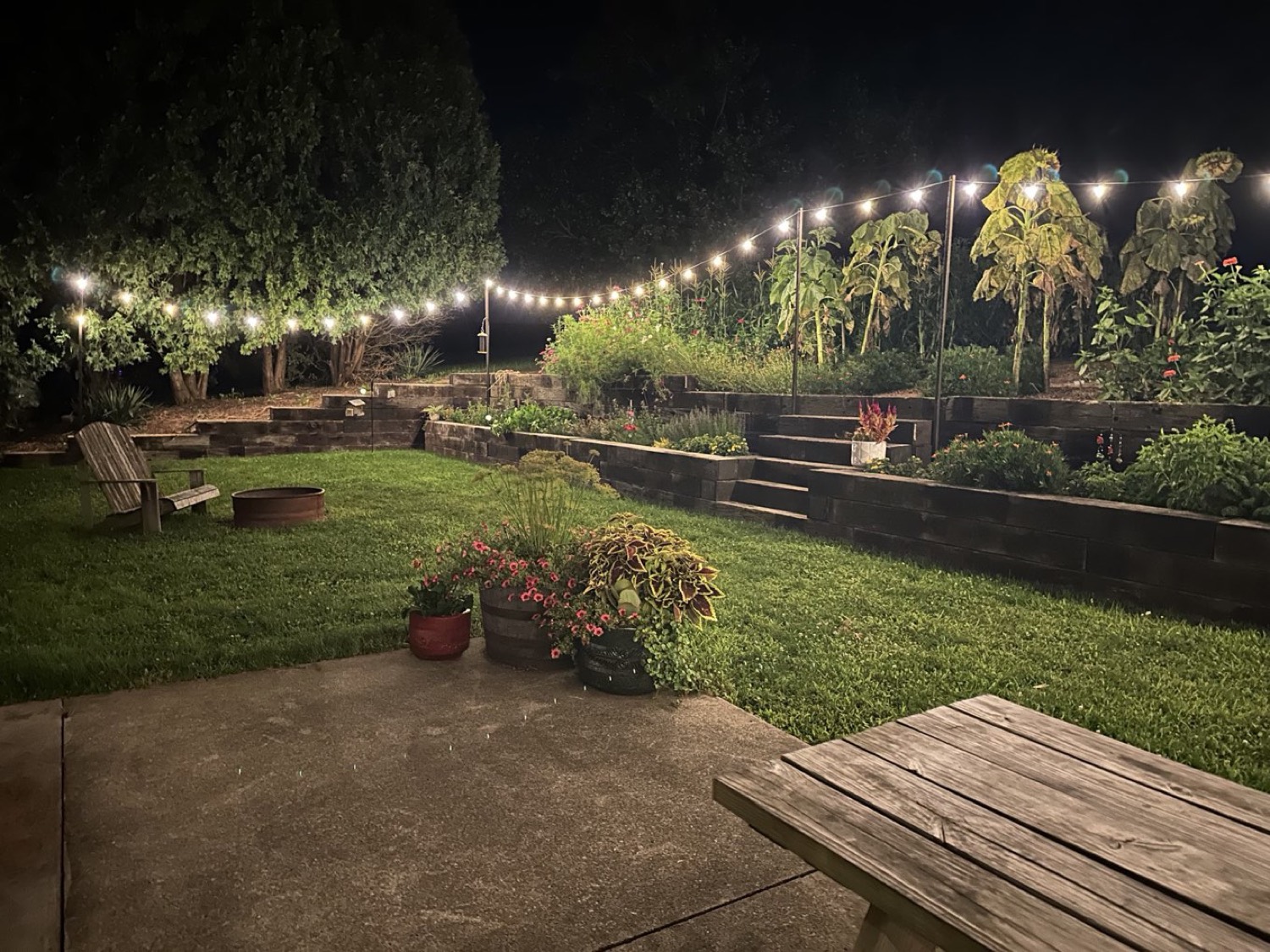 Backyard patio and gardens lit by string lights in the evening