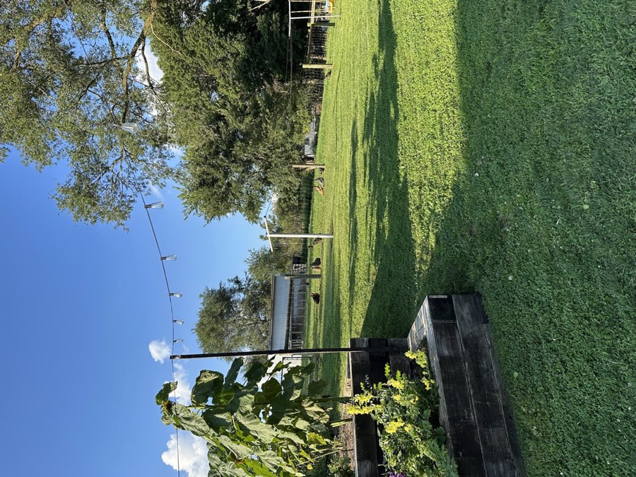 Raised-bed gardens and room to grow